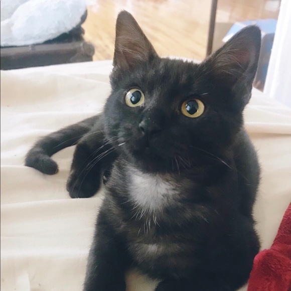 Hi! I’m Kaelah 👋🏻 - Picture 5 of 5